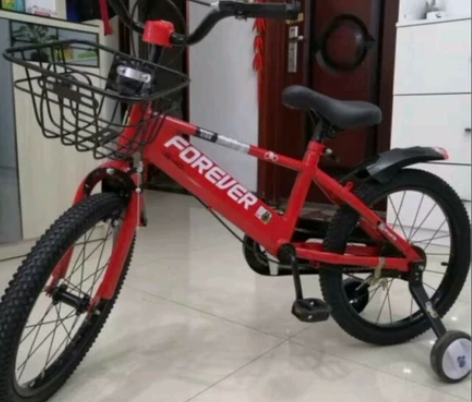 永久儿童自行车儿童单车4-6-10岁带后座...