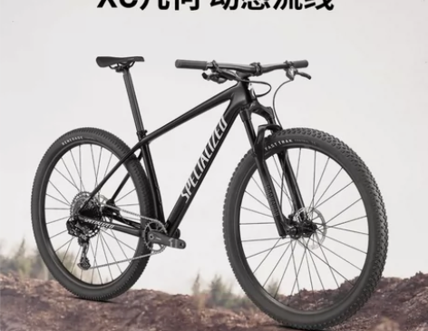 自行车 SPECIALIZED闪电 EPI...