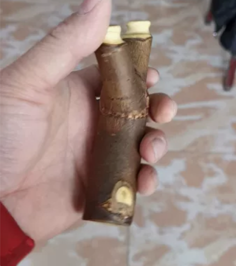 圆撑头扁皮弹弓尺寸：外宽75㎜，撑头15㎜...