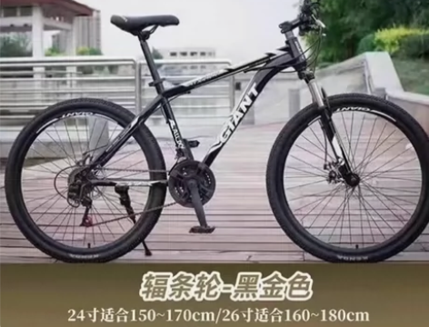 低价便宜处理一批捷???安特山地车成人男女...