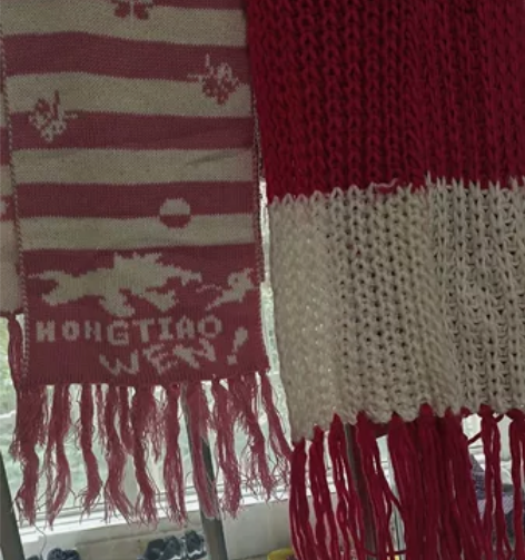 两条围巾，只卖十元钱，有需要的朋友私聊我哦...