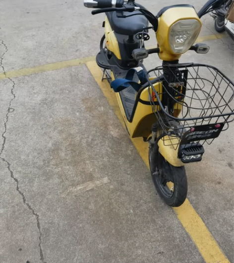 飞鸽电动车小型车新国标电动车自行车男女代步...