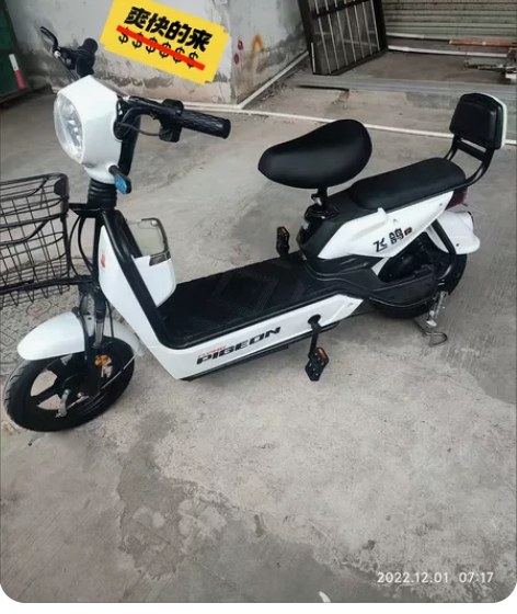 实体发货全新飞鸽新国标电动车成人电动自行车...