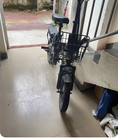 德国名顶折叠电动自行车 电池可拿出充电 续...