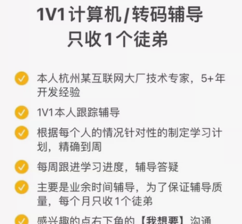 1V1计算机/转码/编程辅导，只收1个徒弟...