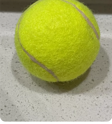 一只网球 感兴趣的话点“我想要”和我私聊吧...