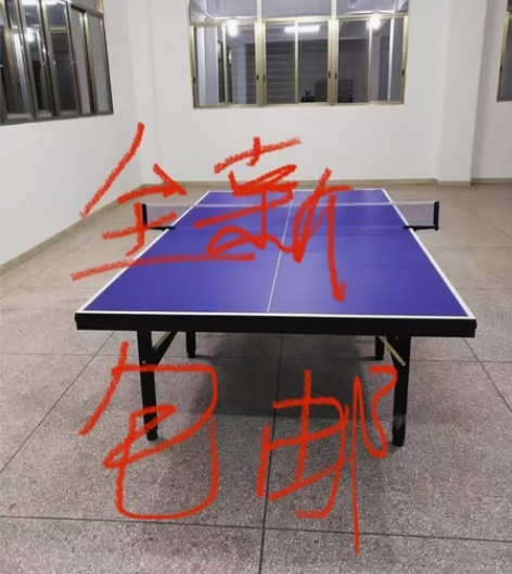【全新包邮】球馆倒闭，全部包邮 家用乒乓球...