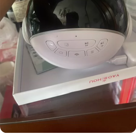 智伴科儿童成长机器人，小朋友玩了两次基本全...