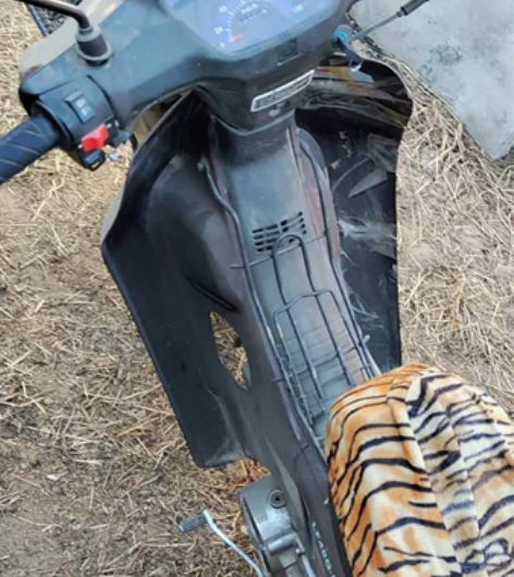 力帆摩托110弯梁摩托非常新行驶1万公里从...