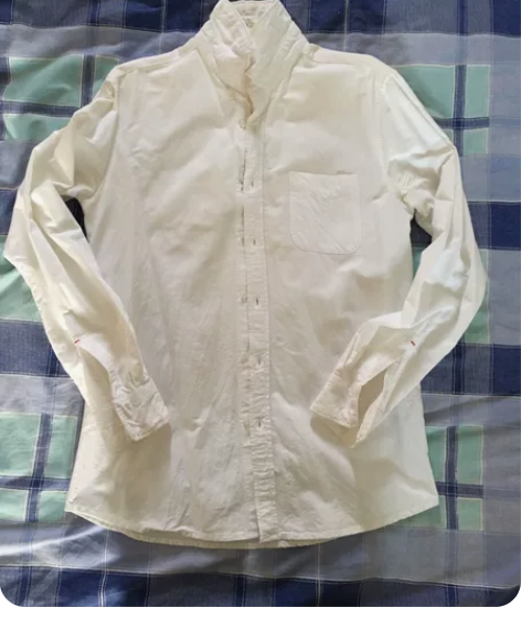 长袖衬衫男士 纯白色挺好看的全棉材质 牛津...