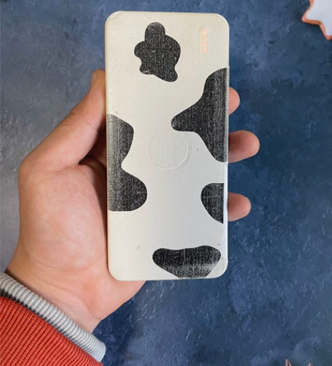 罗马仕 polymos10s 充电宝 10...