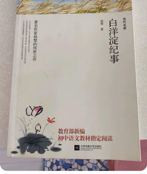 《白洋淀纪事》，九成新，《人类简史》八成新...