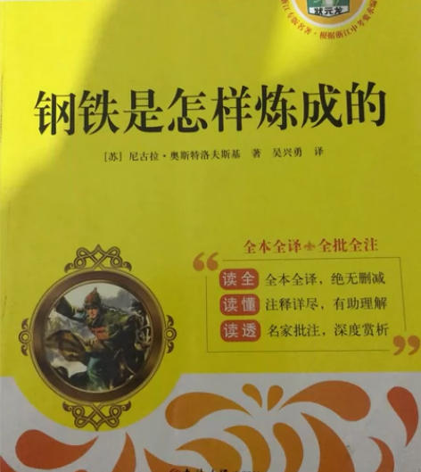钢铁是怎样炼成的 初中必读书目几乎全新￥2...