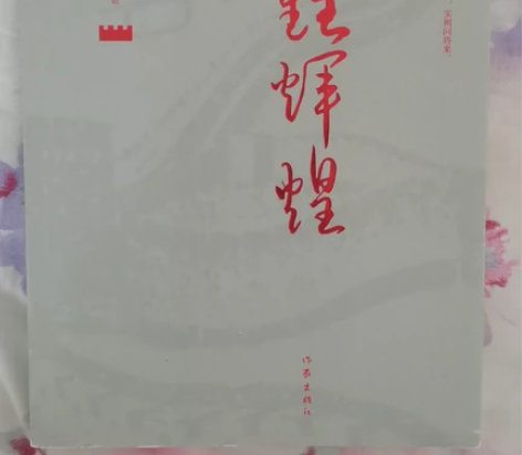 苦难辉煌 几乎全新 正版 低价出