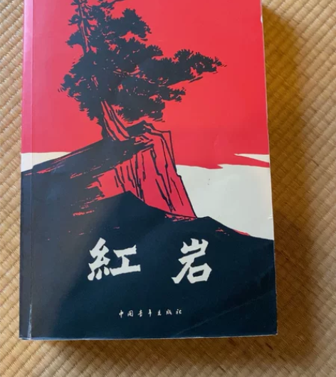 初中必读书目，红岩，便宜出10元，大连市内...