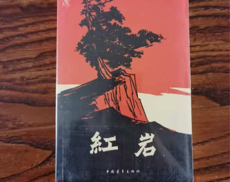 【全新书籍闲置】 初中必读书籍《红岩》未开...