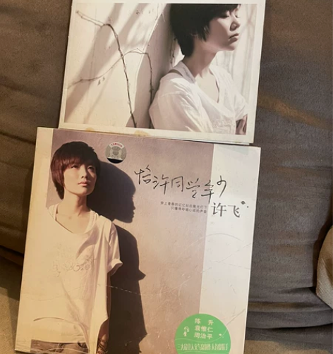 许飞 恰同学少年淡淡的歌宣传版首版正版cd...