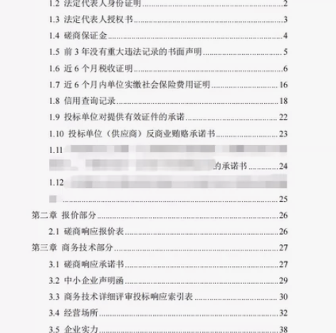 代做标书，服务类、采购类、工程类均可（更擅...