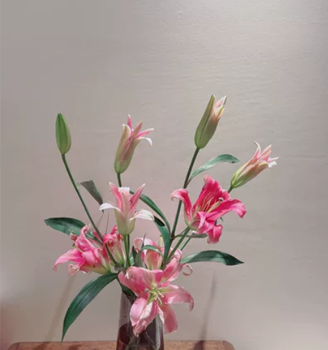 标书，预算，十年行业经验，高效代做，不接急...