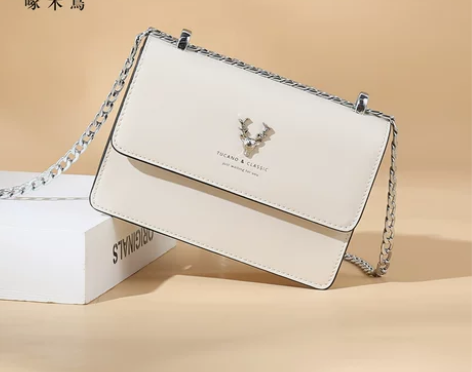 ?啄木鸟女包2021新款潮百搭高级质感小方...