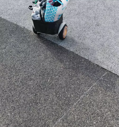 小米九号 平衡车Plus 胖9 储物 平衡...