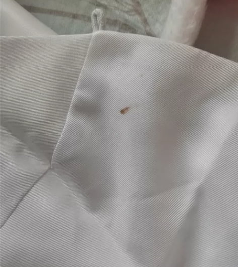 祈雪灵祝公孙离cos服 只拿出来试过一次 ...