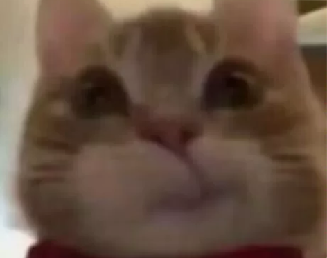 原神代肝100晶蝶，纯手工 感兴趣的话点“...