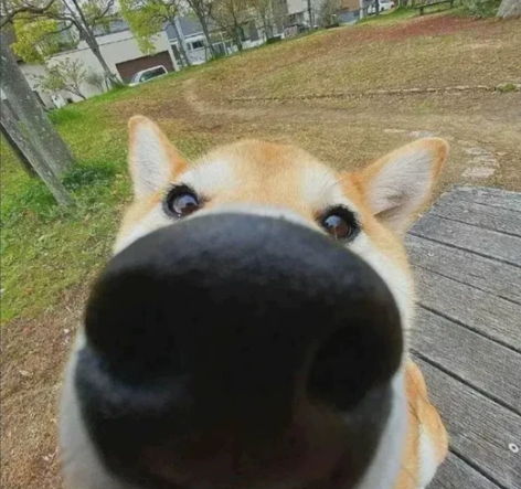 电脑正版系统win10   win7做系统...