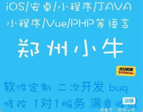 软件定制 二次开发 bug修改 1对1服务...