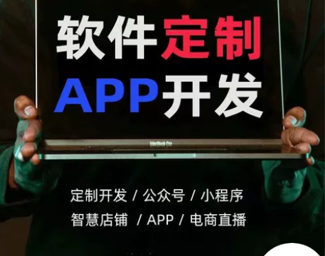 主要涉域语言：PHP、JAVA、.NET、...