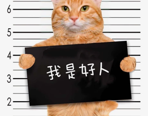 远程维修电脑、在线重装系统纯净版、重装做系...