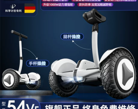 德国ZOLA官方旗舰店2022新款平衡车智...