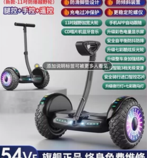 德国ZOLA官方旗舰店2022新款平衡车智...