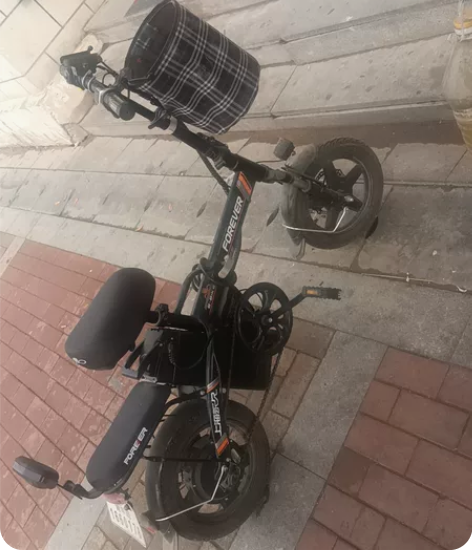 上海永久牌,这是在店里买的,买了6个月,新...