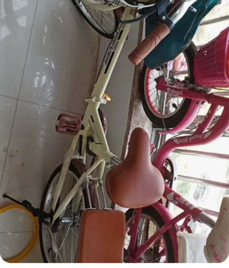 永久折叠自行车，原价四五百的买的 感兴趣的...