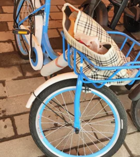 永久牌 喜欢的来拍吧 感兴趣的话点“我想...