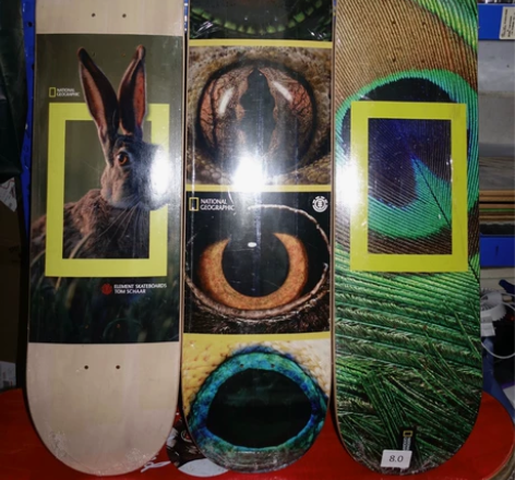 Element美国进口滑板品牌板面 ele...