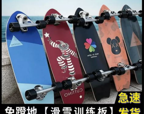 陆地冲浪板进口初学者冲浪滑雪专业练习板模拟...