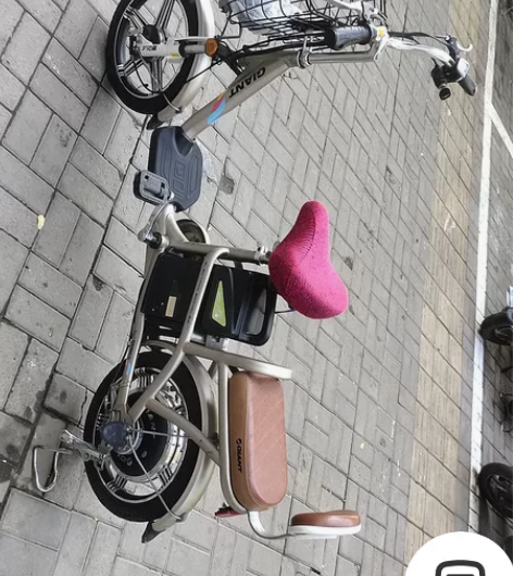 捷安特锂电池电动车，几乎全新，用的很少，闲...