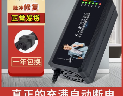 自动断电智能电动车电瓶充电器48V12AH...