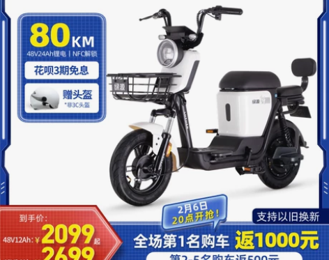 绿源48v24a锂电电动自行车ZFA成人男...