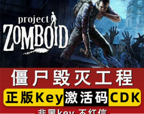 steam正版僵尸毁灭工程全球区CDKEY...