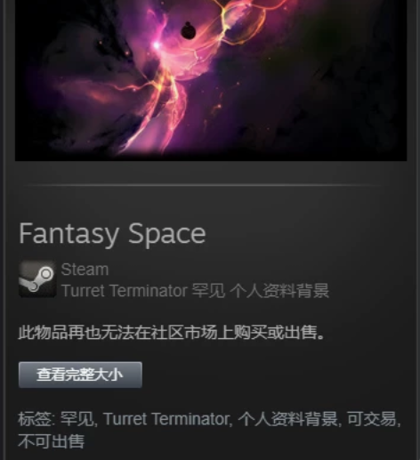 steam下架绝版游戏Turret Ter...