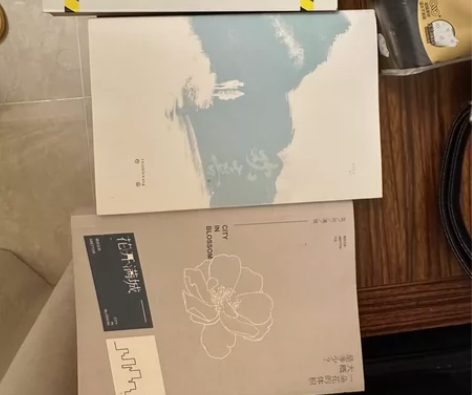 凯源同人 耦俱无猜《花开满城》（已出） 袖...