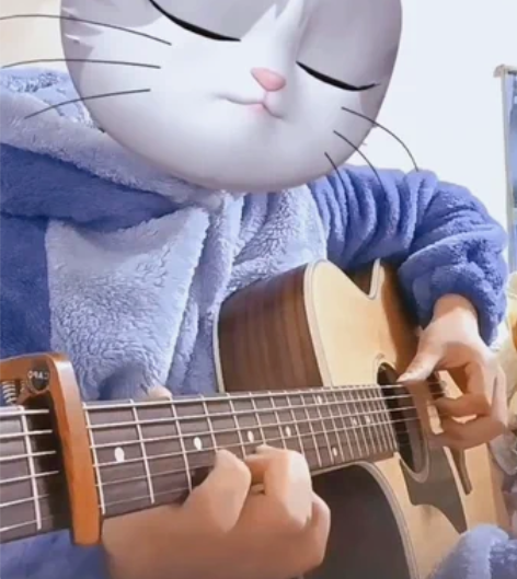 伊斯特曼pch2电箱吉他  加装了doub...