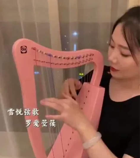 坚琴半音竖19弦15弦琴沃尔特入门爱尔兰凯...