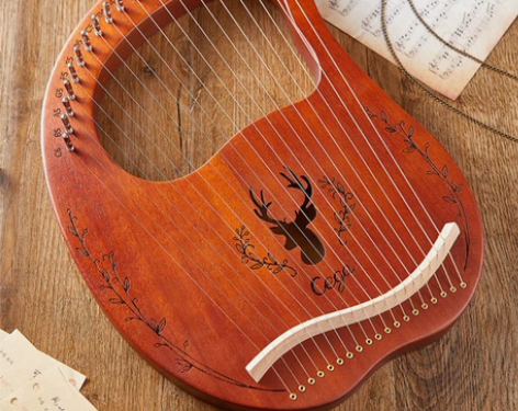 莱雅琴19弦，小姨送我的（我也不知道为什么...