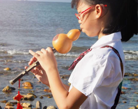 云南葫芦丝乐器初学降B调C调紫竹成人 儿童...