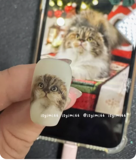 定制穿戴甲，手绘宠物穿戴甲。 . 手绘宠物...