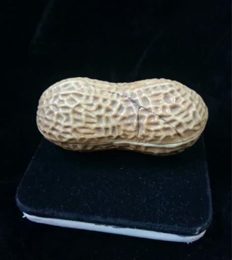 老瓷花生，盖子坏了，尺寸如图，有喜欢的朋友...